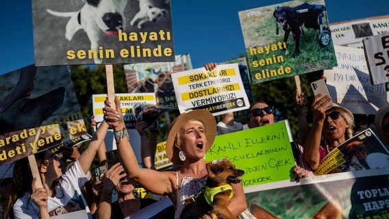 Turkish official pledges to enact law to cull stray dogs after 2-year-old’s death